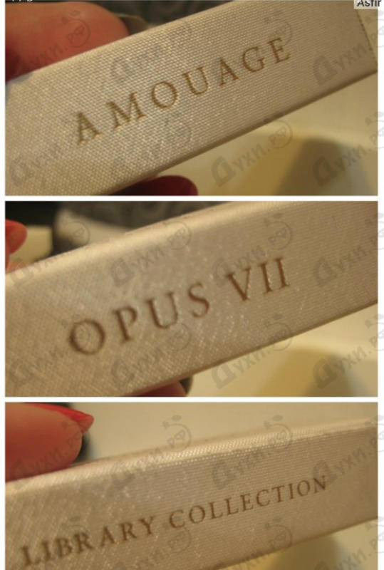Купить Library Collection Opus II от Amouage